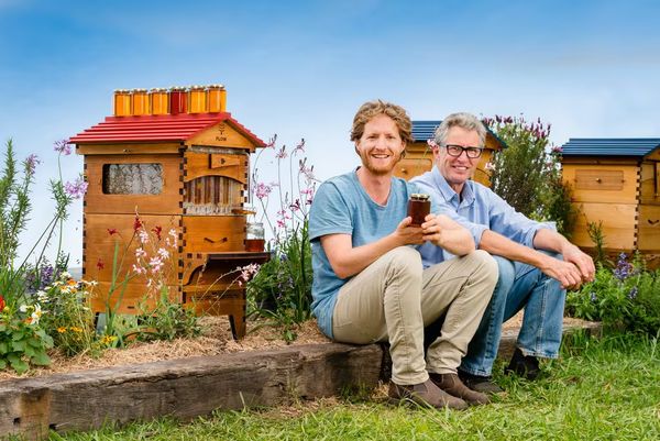 The $12.2M Beehive That Proved Influencer Marketing Isn’t Optional Anymore